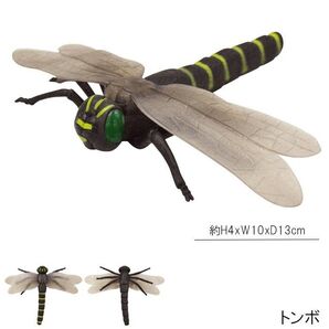 Dynamic Earth ダイナミックアース 昆虫 フィギュア ビッグサイズ