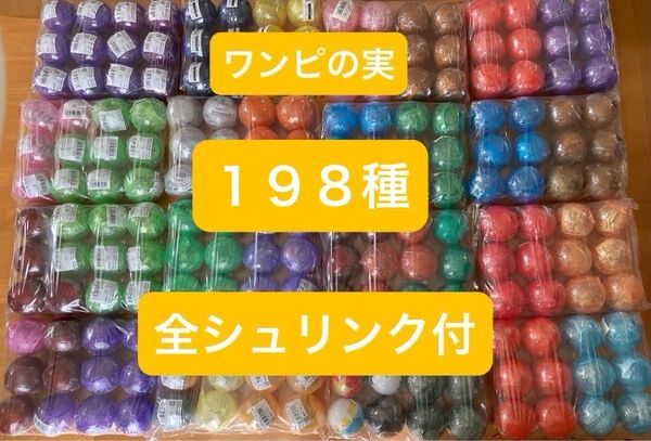 ワンピの実 コンプリート 198種 第一〜二十三海戦 あにまる ルフィ ワノ国 かまいたち エッグヘッド 25周年 革命軍軍隊長