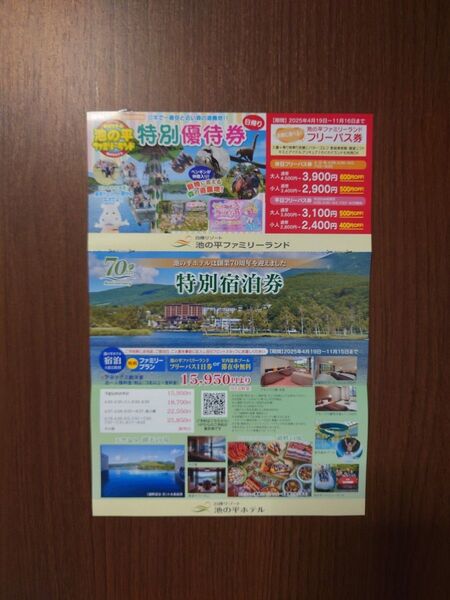 池の平ファミリーランドフリーパス引換券2枚