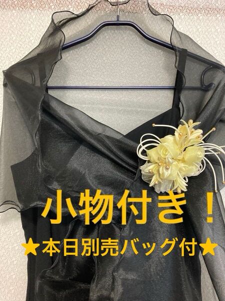★8月別売バッグ付SALE★【美品】結婚式・ロングフォーマル用ドレス 黒+小物セット