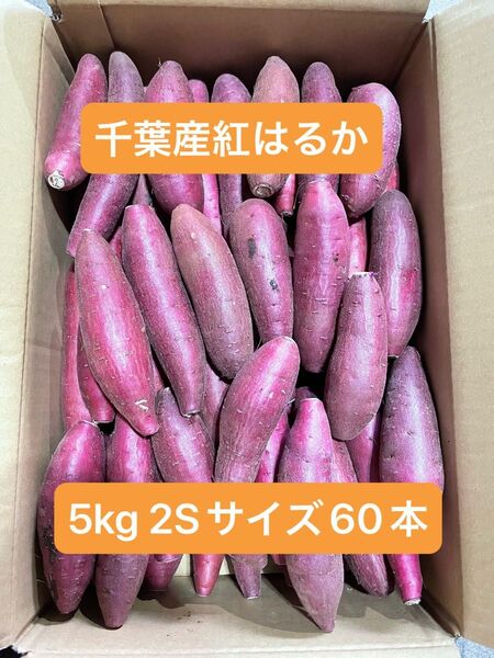 千葉県産紅はるか