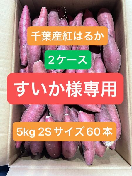 千葉県産紅はるか