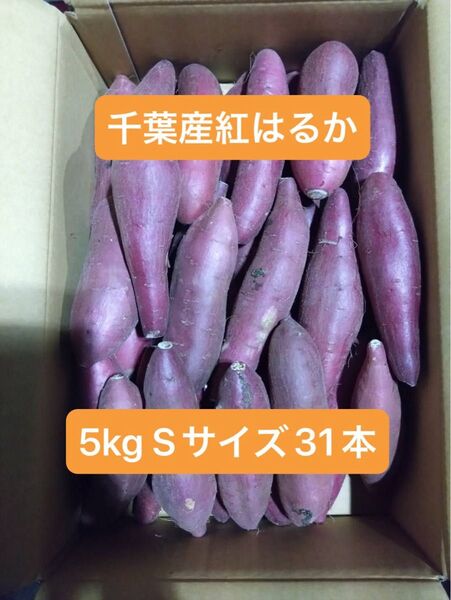 千葉県産紅はるか