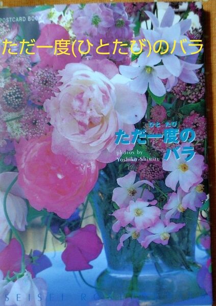 ただ一度(ひとひら)のバラ (ポストカードブック)/清水佳子 著