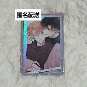 drap 25周年記念展 アニメイトオンリーショップ 吉尾アキラ ベビーピンク オーロラカード