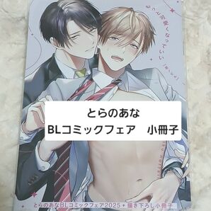 とらのあな BLコミックフェア 2025 小冊子 星ノビル もっと可愛くなっていい 特典 ポイント 限定