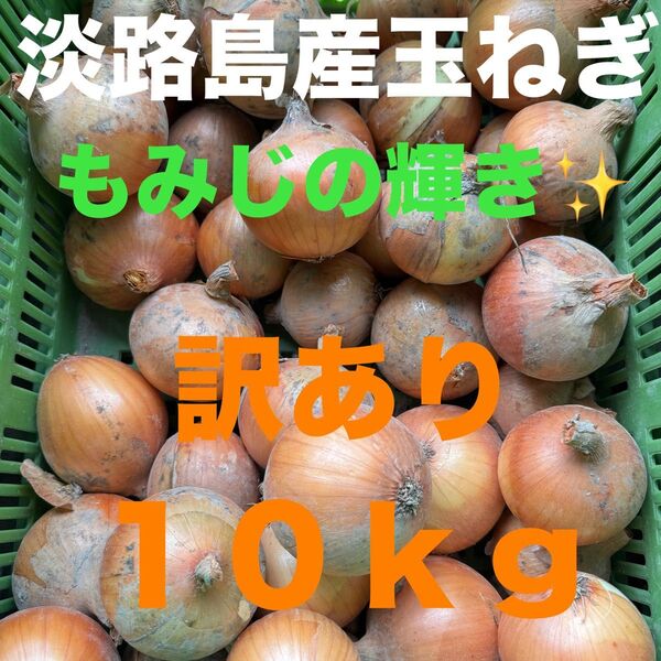 淡路島産玉ねぎもみじの輝き10キロ訳あり