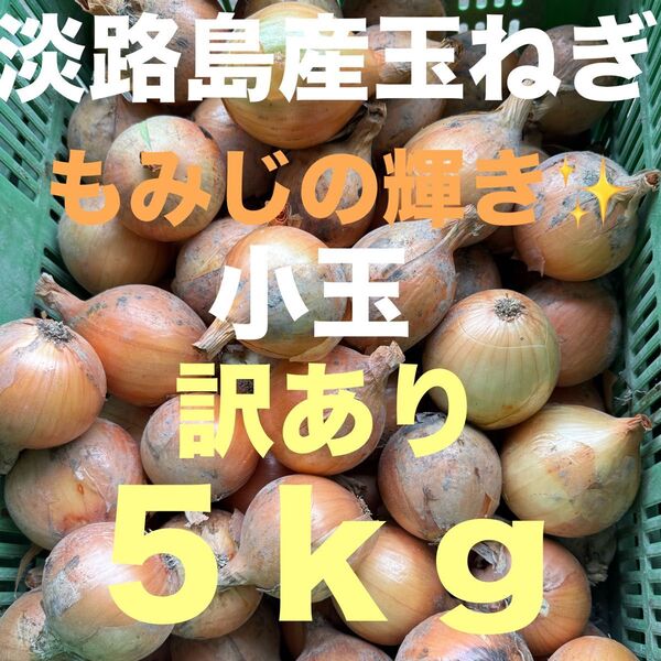 淡路島産玉ねぎもみじの輝き小玉5キロ訳あり