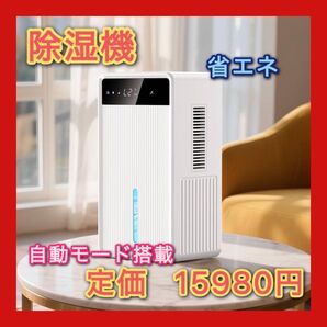 除湿機 小型 大容量3L デュアルコア除湿機 静音 強力除湿 衣類乾燥 タイマー付き コンパクト 省エネ 7色LED