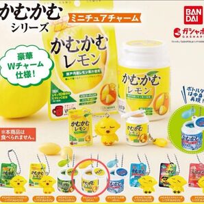 【カテゴリー変更可】かむかむシリーズ ミニチュアチャーム かむかむレモン(ボトル) ガチャガチャ ガチャ