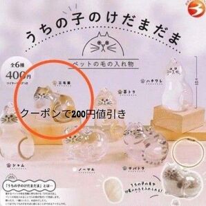 うちの子のけだまだま 毛玉なし