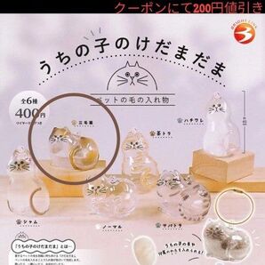 うちの子のけだまだま 三毛猫 ガチャ