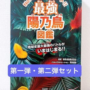 新政 頒布会 2025 陽乃鳥 【第一弾、第二弾】セット