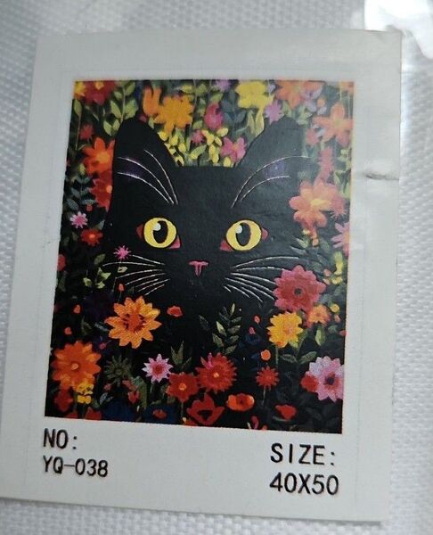 352ー黒猫ペイントバイナンバー 数字絵 絵の具 ぬり絵