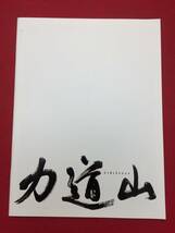 06655『力道山』プレス　ソン・ヘソン　ソル・ギョング　中谷美紀　萩原聖人　鈴木砂羽　山本太郎_画像1