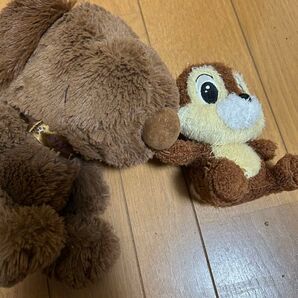 ぬいぐるみです!チップは小さくてスヌーピーはでかいです!もう使わないので受け取って欲しいです!友達や娘さんの誕プレなどにどーぞ!