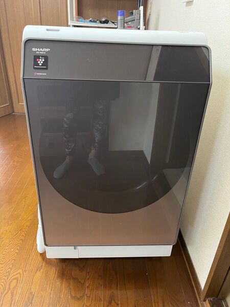 SHARP プラズマクラスタードラム式洗濯乾燥機 ES-WS14