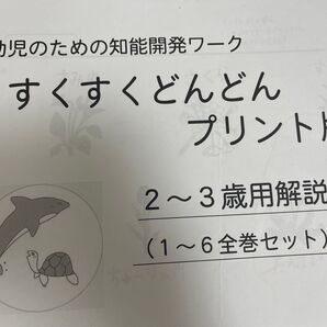 幼児のための知能開発ワーク すくすくどんどんプリント版(全巻6巻セット)