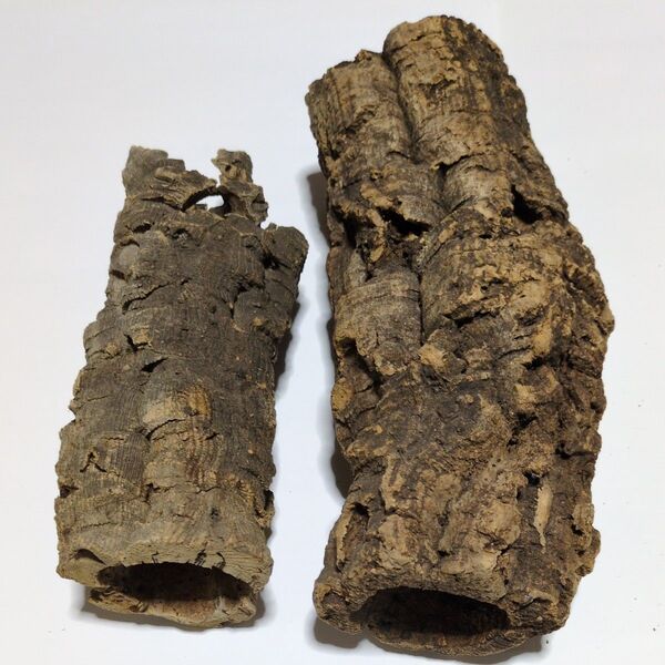 コルク樹皮2本セット アクアリウム テラリウム 爬虫類 両生類着生植物