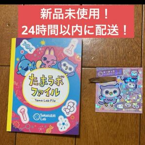 たまごっちパラダイス たまパラ ほーほっち ステッカー ラボたまファイル