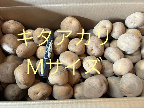 宮崎県産、新じゃがキタアカリ1.3kg