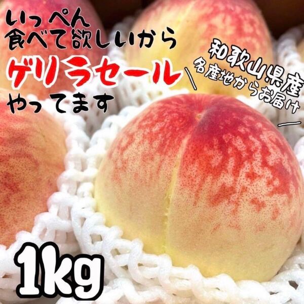 和歌山県産 桃 箱込み1kg+おまけ