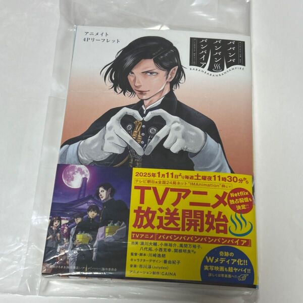 ババンババンバンバンパイア VOL.9 (SHONEN CHAMPION COMICS) 奥嶋ひろまさ/著