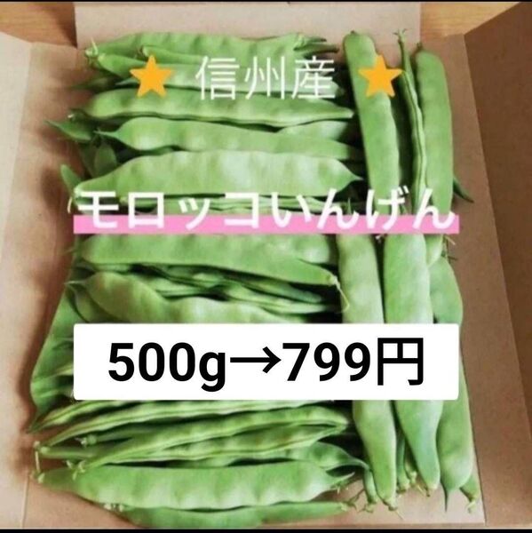 モロッコいんげん 500g 長野県産 信州 産地直送