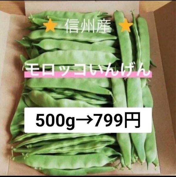 モロッコいんげん 500g 長野県産 信州 産地直送