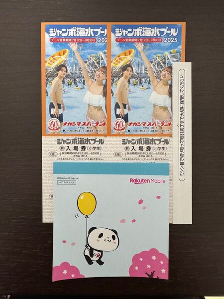 ナガシマスパーランド ジャンボ海水プール 入場券 小学生2枚