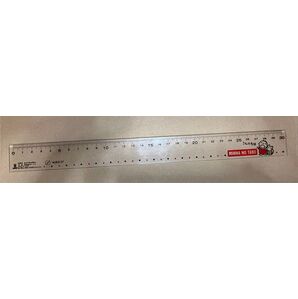 ☆ レア!'89みんなのたぁ坊30cm 定規 MINNA NO TABO サンリオ
