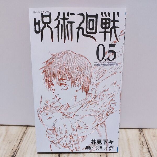 劇場版 呪術廻戦 入場者特典 0.5巻 描き下ろし 芥見下々 79P 小冊子