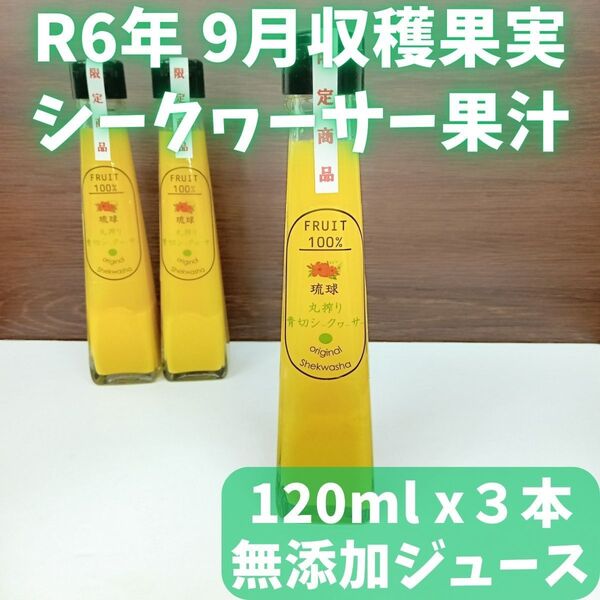 沖縄県産 青切り シークワーサー ジュース 120ml x 3本 原液 100%