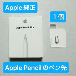 【新品・未使用・匿名配送】純正 Apple Pencil Tips アップル ペンシル チップス ペン先(1個)