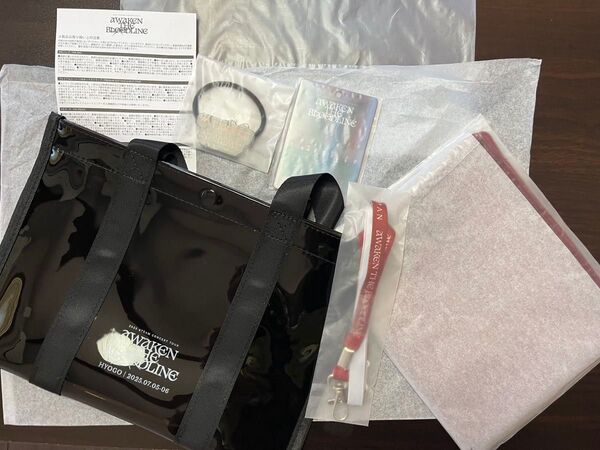 &TEAMアプグレ特典 アジアツアーHYOGO アプグレ オリジナルトートバッグ ほぼ未開封