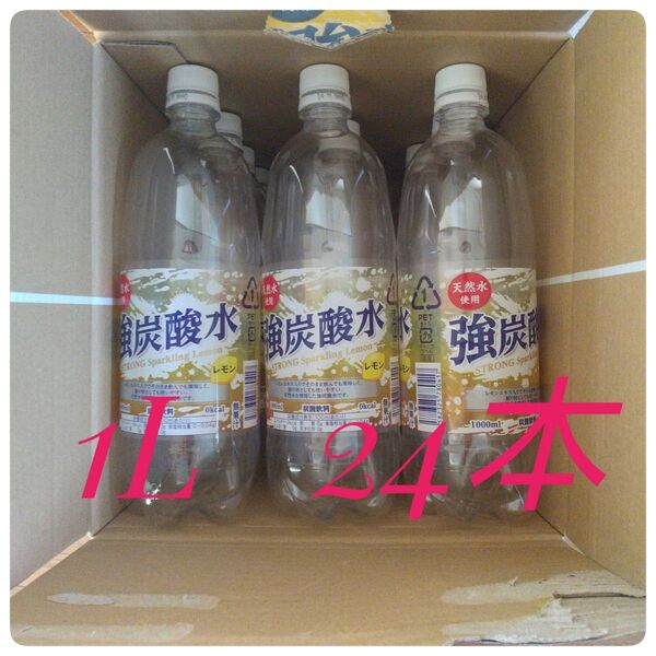 空き容器 ペットボトル 1リットル 24本 強炭酸