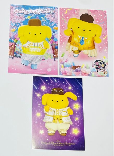 サンリオピューロランド ポムポムプリン ポストカード 実写 ノベルティ 非売品