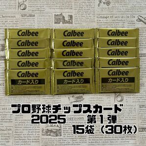 【匿名発送】プロ野球チップスカード2025 第1弾 15袋