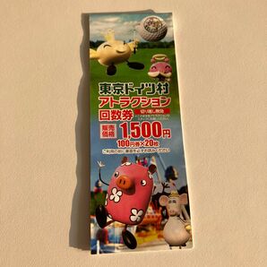 東京ドイツ村 アトラクション回数券 100円券12枚 1200円分