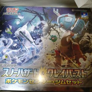 ポケモンカード ポケカ スノーハザード&クレイバースト ポケモンセンター・ジムセット シュリンク付