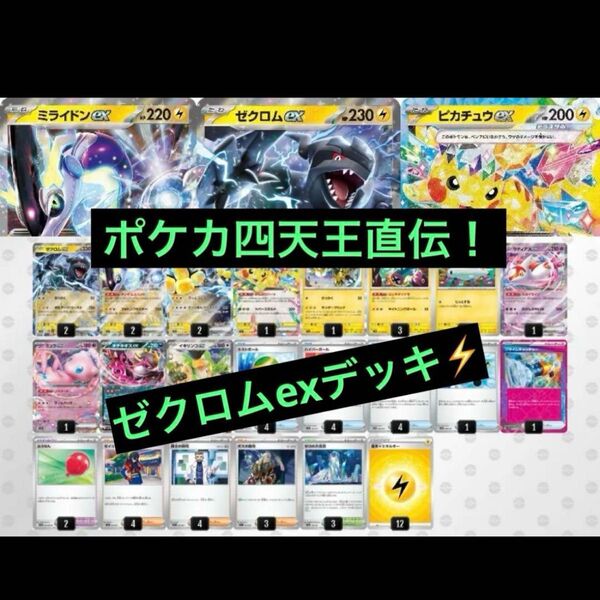 構築済みデッキ ポケモンカードゲーム ジムバトル シティリーグ 優勝デッキ ゼクロムexデッキ ポケカ四天王