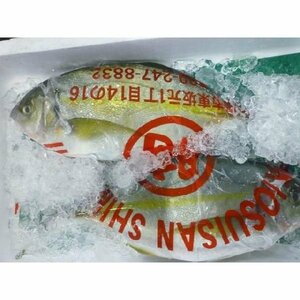 4-5 portion high class sima scad ..1~1.5kg... natural 