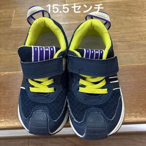 イフミー 15.5センチ