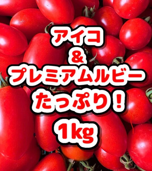 【可愛い】ミニトマト1kg 美味しい野菜⑤