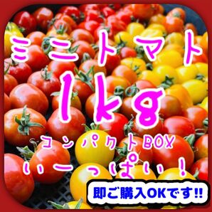 【※お得なセット※】ミニトマトMIX 1kg 美味しい野菜⑯