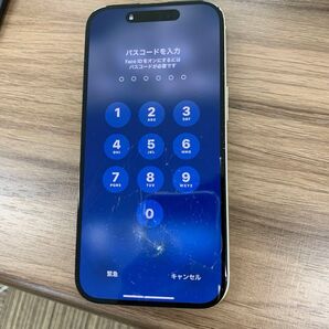 【純正品】iPhone 15 液晶 フロントパネル 777