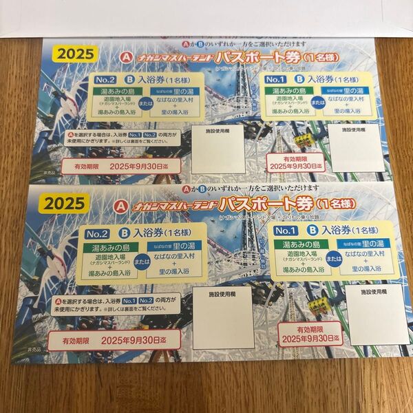 ナガシマスパーランド パスポート券 2枚セット