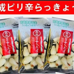 【宮崎のお漬物】熟成・ピリ辛らっきょう(甘酢漬)80g 3袋 唐辛子のピリ辛