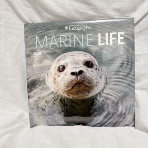 ★2025年 海洋生物 カレンダー 30.5×61cm 動物カレンダー コラージュ インテリア DIY