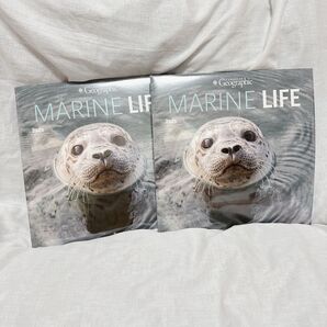 ★海洋生物 カレンダー 30.5×61cm 動物カレンダー コラージュ DIY インテリア 2025年